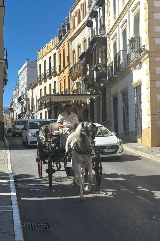 ab Marbella: Private VIP-Tour Ronda incl. Transfer + Tapas - Walking La Ciudad at your own pace