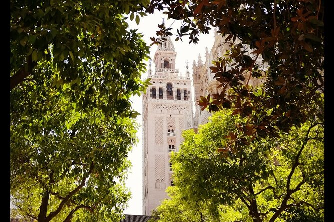Alcazar and Cathedral of Seville Private Tour - Sofía Ventura’s personal, flexible guiding