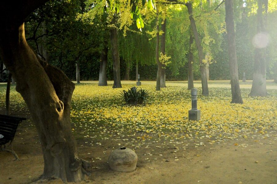 Alcázar of Seville Skip-the-Line Tickets and Guided Tour - Should you book the Alcázar guided tour?