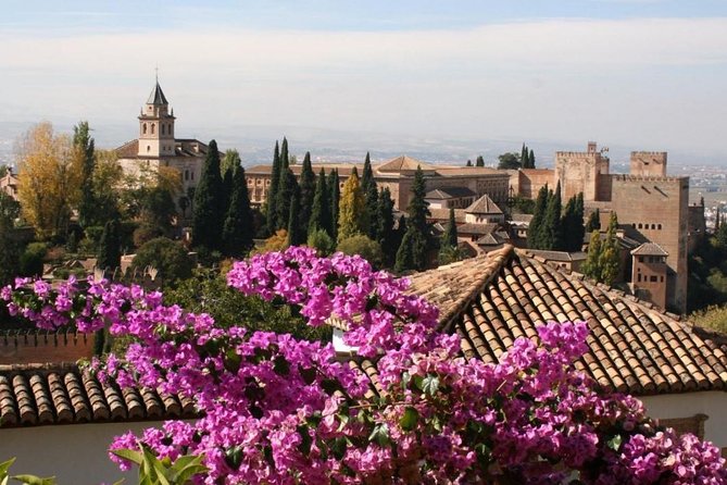Alhambra Guided Tour & Albaicin Tour from Seville - Is $95.34 good value?