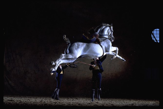 Andalusian Horses Dance Show - Jerez’s equestrian tradition, performed in an arena