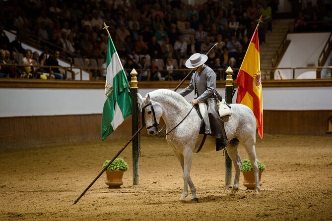 Andalusian Horses Dance Show - Classical dressage turns precision into a visual performance
