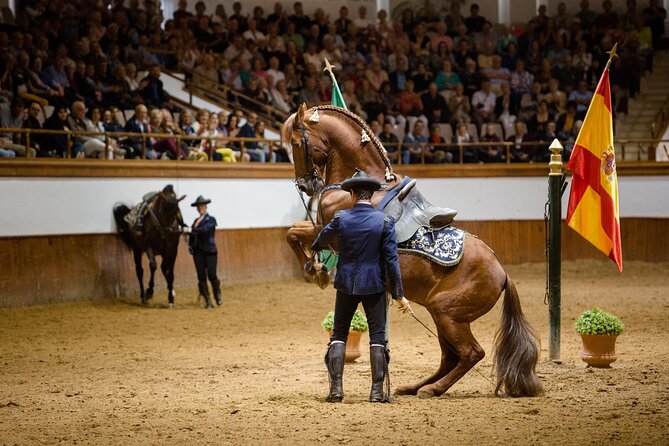 Andalusian Horses Dance Show - Carriages and work in hand show other kinds of control
