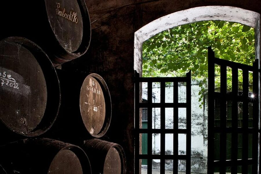 Barbadillo Winery Guided Tour in Cadiz with Wine Tasting - What makes this visit worth your time