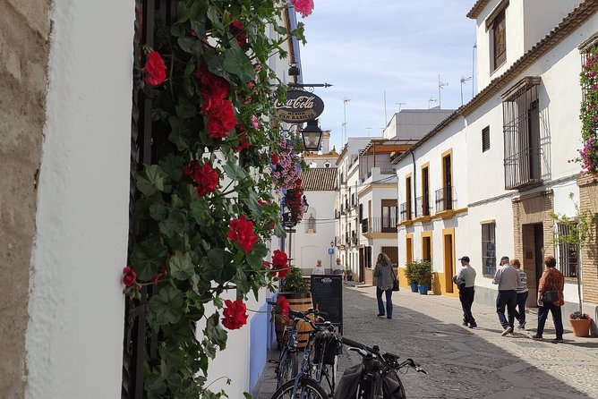 Bike Tour Córdoba - How the pace feels on two wheels