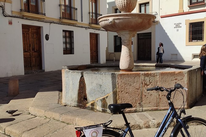 Bike Tour Córdoba - Is $35.09 good value?