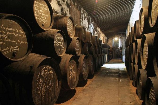 Cadiz and Jerez Day Trip from Seville - Who should book this trip?