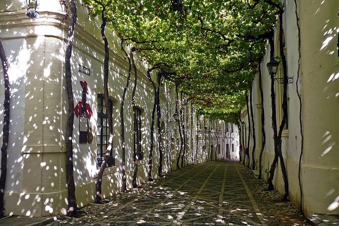 Cadiz and Jerez Day Trip from Seville - FAQ