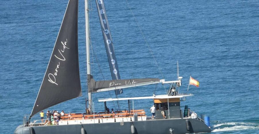 Cádiz: Bay of Cádiz Catamaran Tour with Host - A Short Cruise With A Different View Of Cádiz