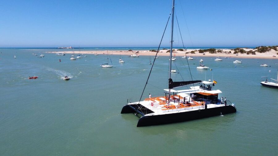 Cádiz: Bay of Cádiz Catamaran Tour with Host - The Southern Route Puts The Bridge In Focus