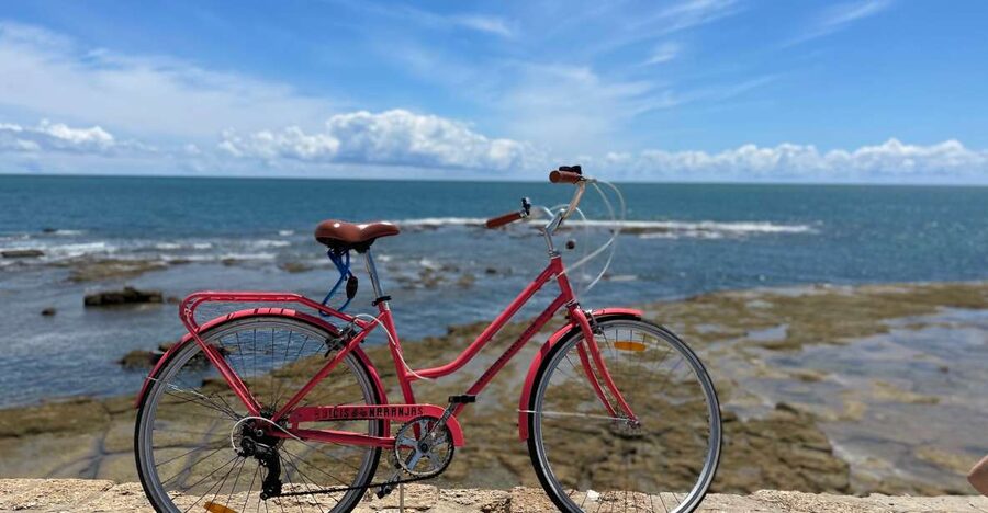 Cadiz: City Bike Tour - What to bring and who should book