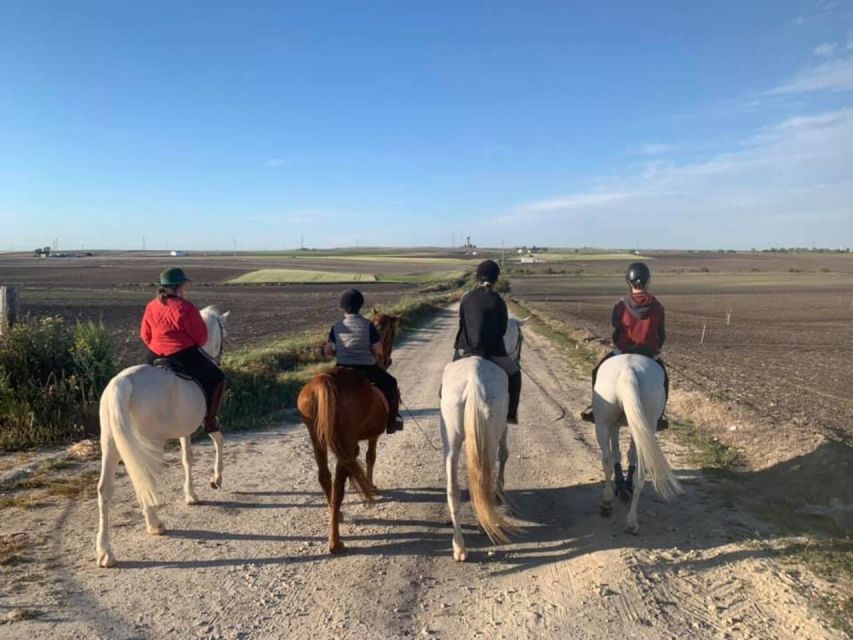 Cádiz Country side: Ride an Andalusian Horse - A Horse Ride Beyond the Cádiz Coast