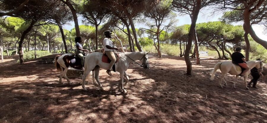 Cádiz Country side: Ride an Andalusian Horse - The Price and What It Covers