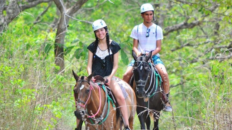 Cádiz Country side: Ride an Andalusian Horse - One Hour in the Andalusian Countryside