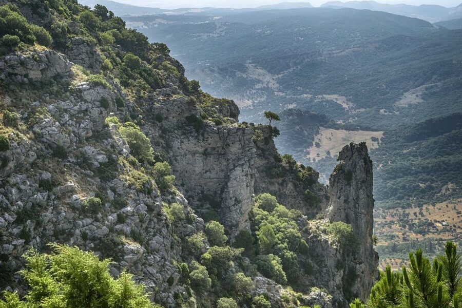 Cadiz, Jerez or El Puerto: White Towns of Andalusia Day Trip - What the $80 fare covers