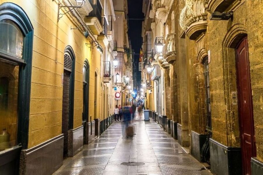 Cadiz: Private custom tour with a local guide - What the walk can include