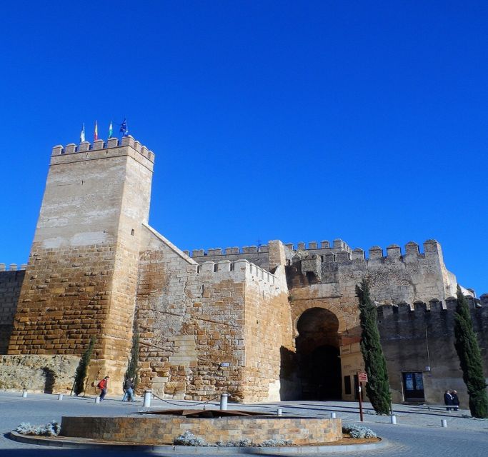 Carmona and Necropolis Tour from Seville - Guides are a big part of the experience