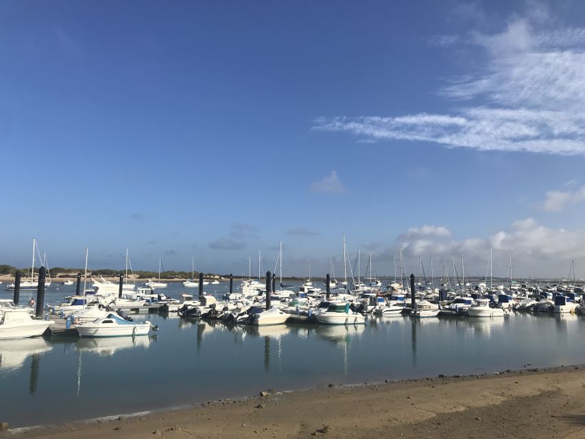 Chiclana de la Fra: Coast of Sancti Petri Catamaran Tour - Setting off from Sancti Petri Marina