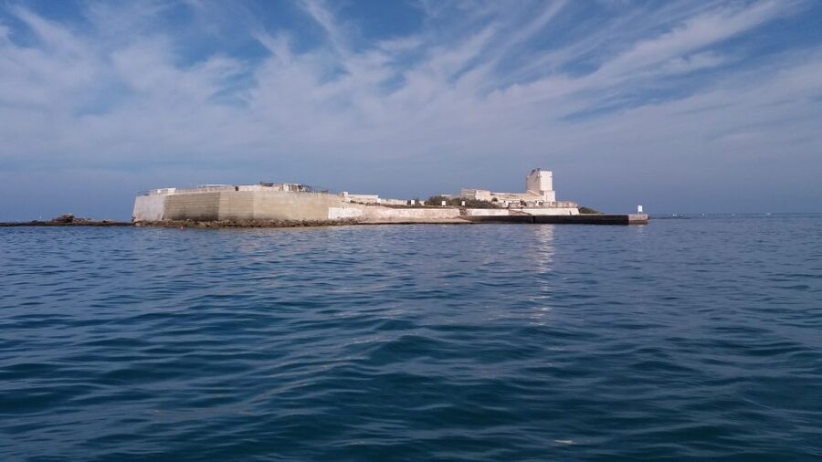 Chiclana de la Fra: Coast of Sancti Petri Catamaran Tour - Crossing the Bay of Cádiz Natural Park