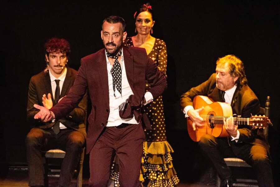 Combo: Hop on hop off + Flamenco Show & Walking tours - Give the evening to flamenco