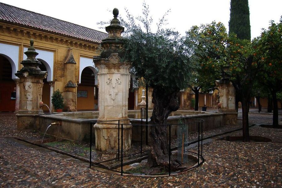Cordoba: 3-Hour Private Tour - FAQ