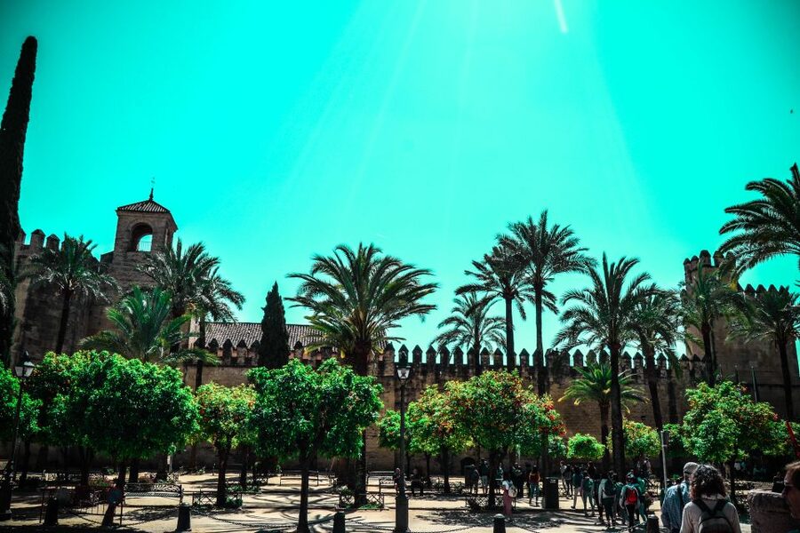 Cordoba: Alcázar de los Reyes Cristianos 1-Hour Guided Tour - The Hall of Mosaics and its Roman collection