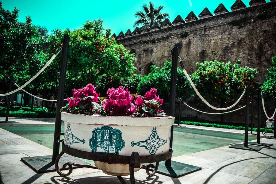 Cordoba: Alcázar de los Reyes Cristianos 1-Hour Guided Tour - Who should book this tour?