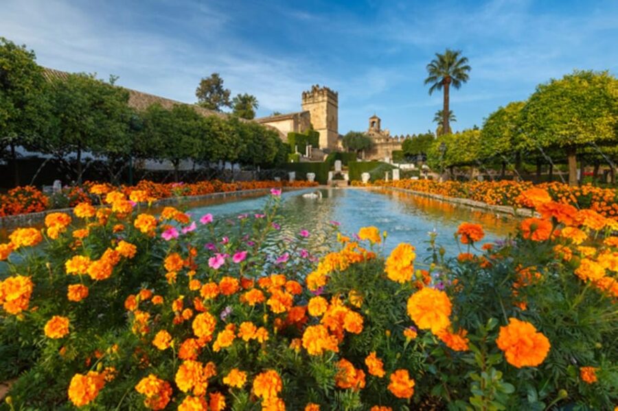 Cordoba: Alcazar of Christian Monarchs 1–Hour Guided Tour - Who should book this tour?