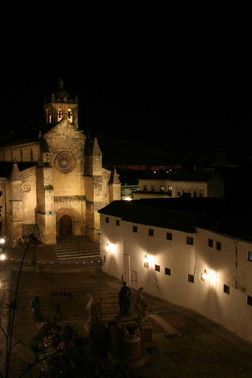 Cordoba at Night by Bike, Electric Bike - What to know before you book