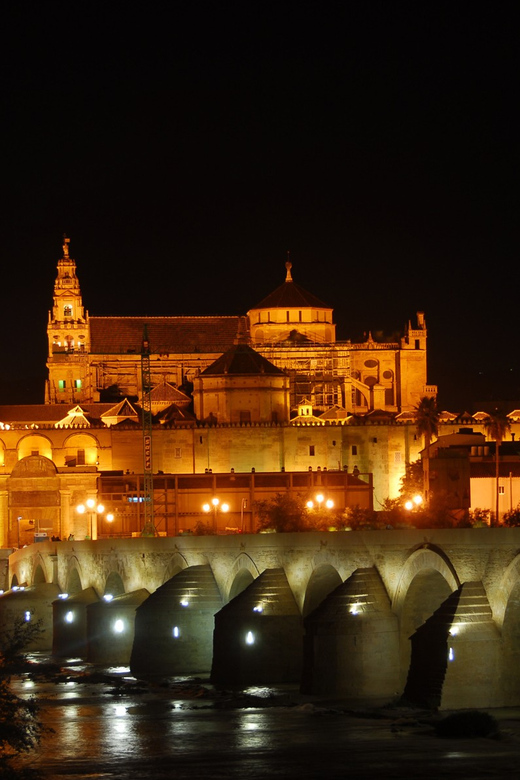 Cordoba at Night by Bike, Electric Bike - Choosing a bike, e-bike, or Segway