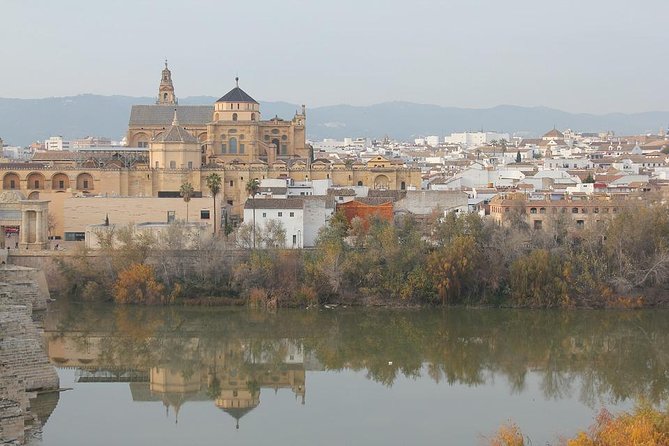 Cordoba & Carmona with Mezquita, Synagoge & Patios from Seville - The Jewish quarter and Córdoba Synagogue