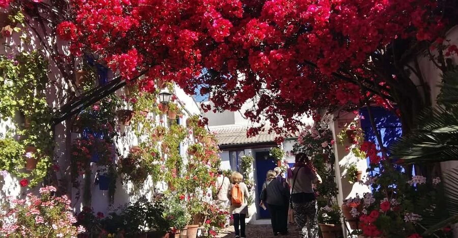 Cordoba Courtyards by Bike, Electric Bike - Four Córdoba patios, one compact ride