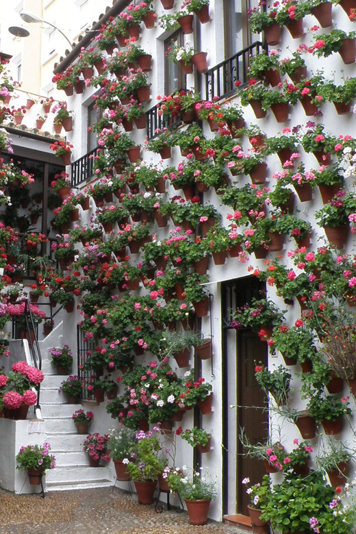 Cordoba Courtyards by Bike, Electric Bike - The ride from Calle María Cristina