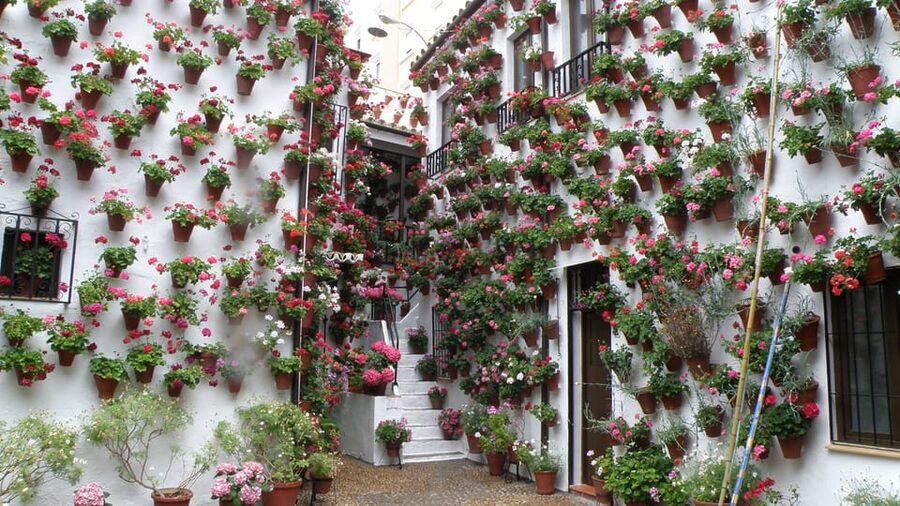 Cordoba Courtyards by Bike, Electric Bike - Should you book the Córdoba patios bike tour?