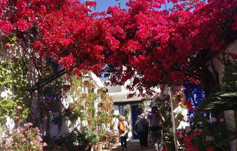 Cordoba Courtyards by Bike, Electric Bike - Choosing between a standard bike and an e-bike