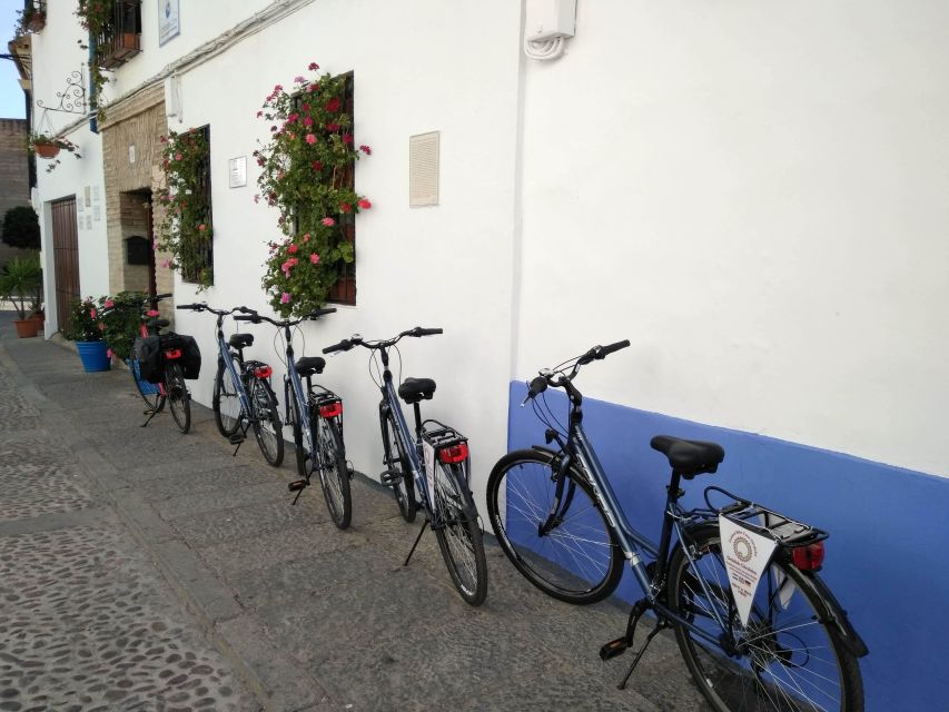 Córdoba Daily Highlights Bike Tour - Patios and the quieter corners