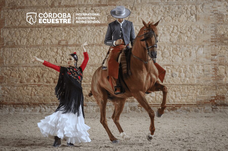 Cordoba: Equestrian Show General Entry - A horse show rooted in Córdoba