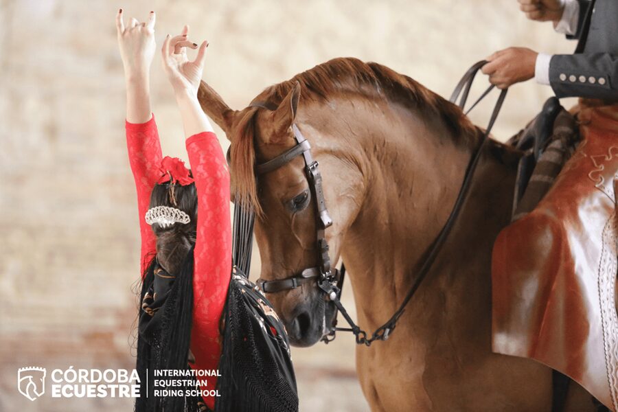 Cordoba: Equestrian Show General Entry - What happens during the 70-minute performance
