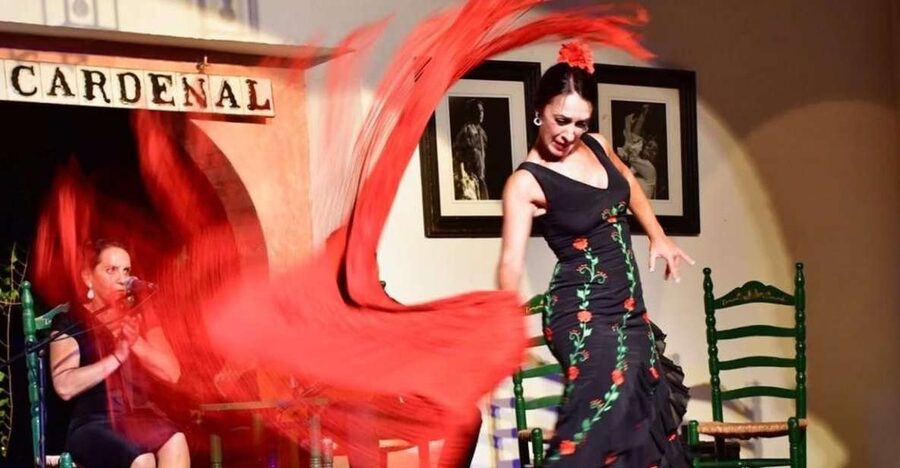 Córdoba: Flamenco Show Ticket with Drinks - A few things to know before you go