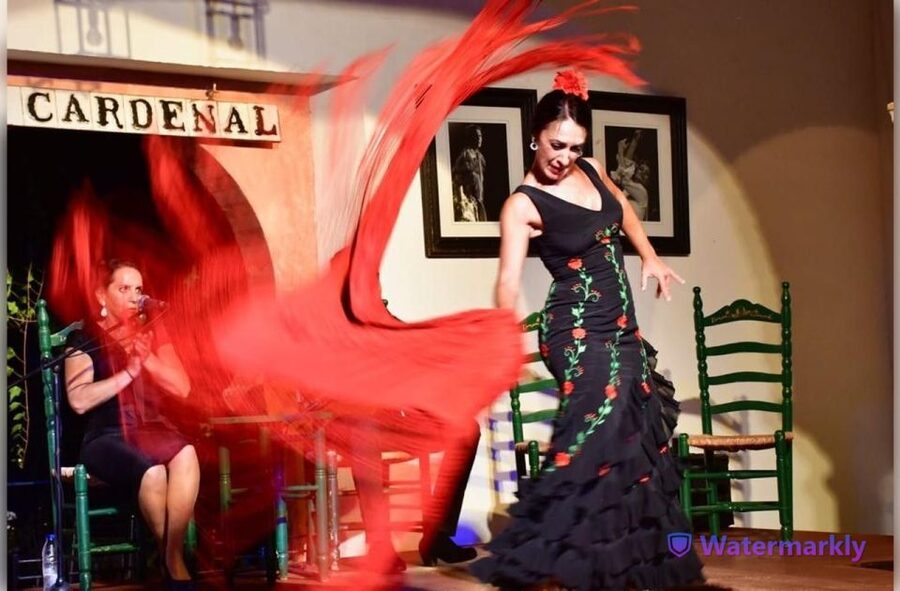 Córdoba: Flamenco Show Ticket with Drinks - What the 80-minute show includes