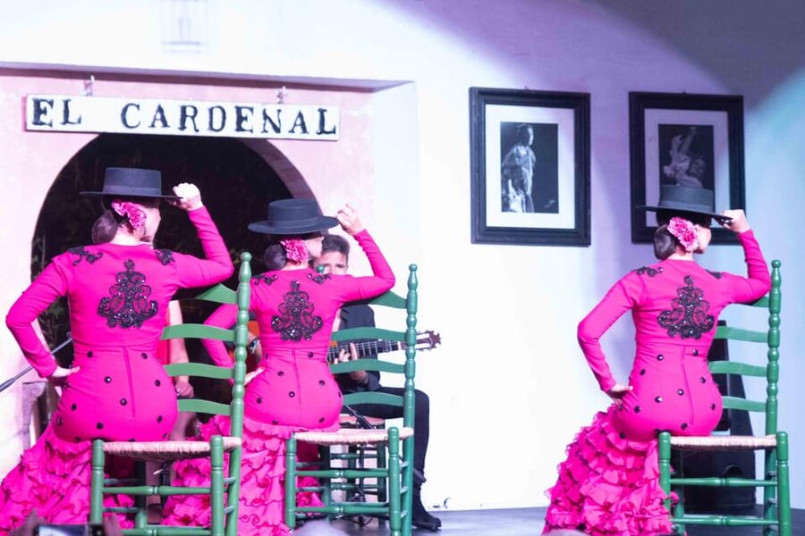 Córdoba: Flamenco Show Ticket with Drinks - Who will enjoy this Córdoba flamenco show?