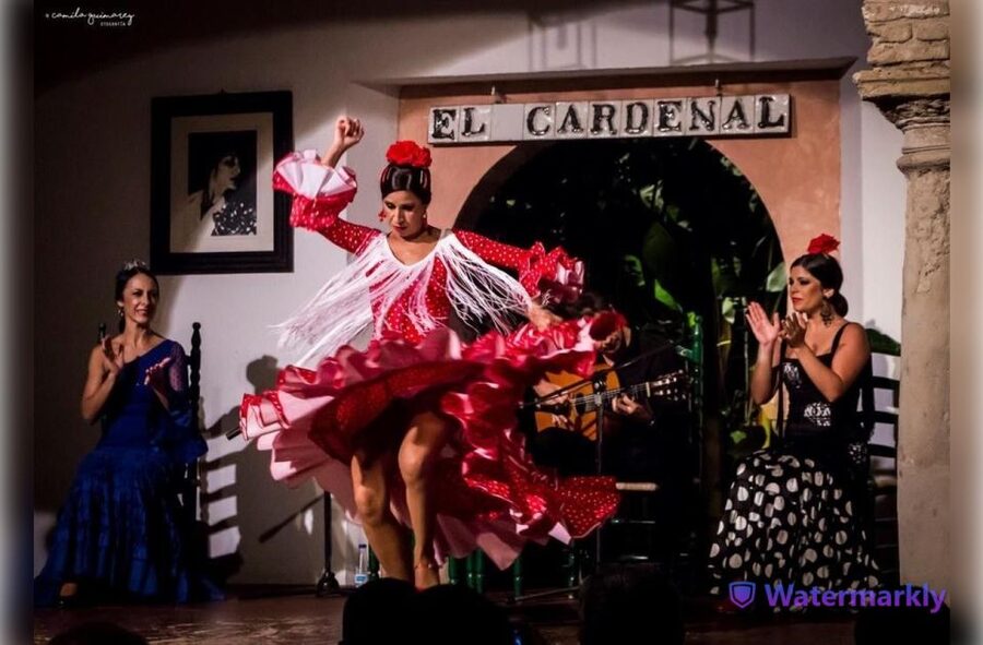 Córdoba: Flamenco Show Ticket with Drinks - Should you book it?
