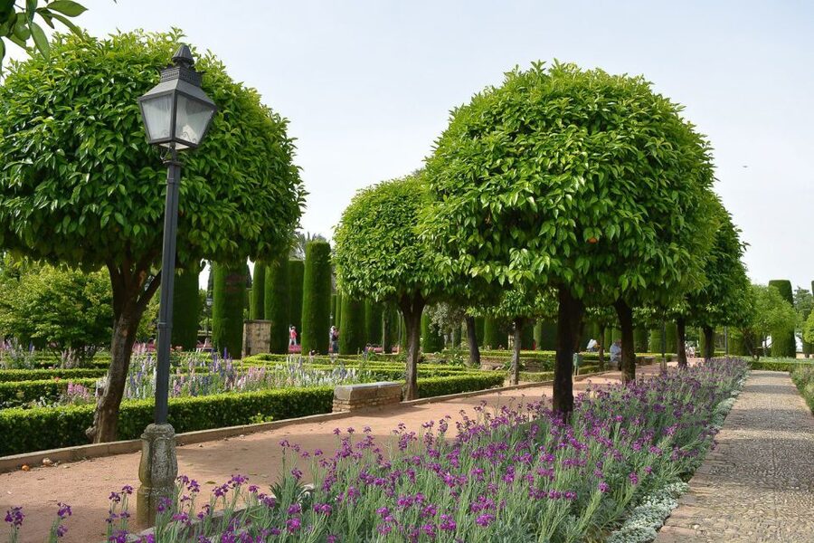 Cordóba: Gardens & Fortress of Catholic Monarchs Guided Tour - Why a local guide can add value