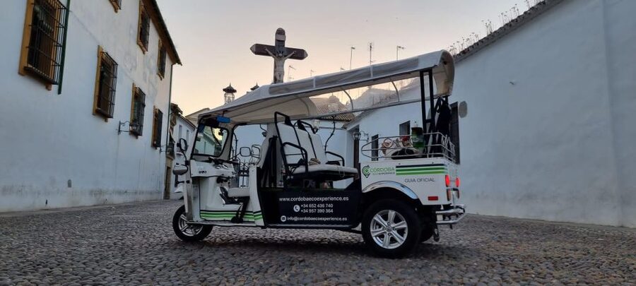 Córdoba: Guided City Tour by Tuk-Tuk - Patios, lanes and neighborhood character