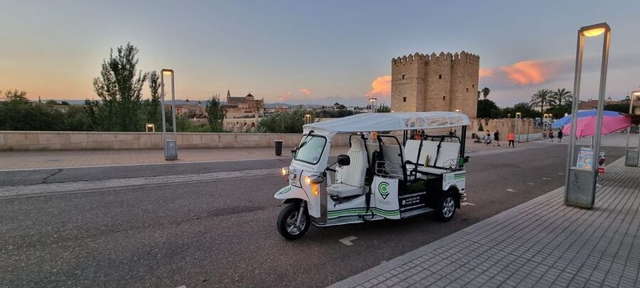 Córdoba: Guided City Tour by Tuk-Tuk - The Roman Bridge and the river views