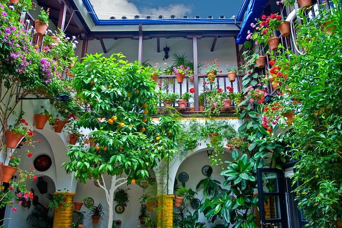 Cordoba Guided Tour Mosque and Cathedral from Seville - Free time, lunch and the return journey