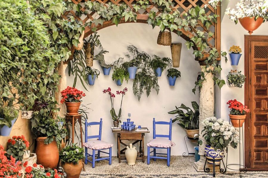 Córdoba: Guided Tour of the Patios - Why Córdoba’s patios are worth a closer look