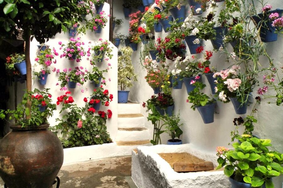 Córdoba: Guided Tour of the Patios - From the Royal Stables to the first patio