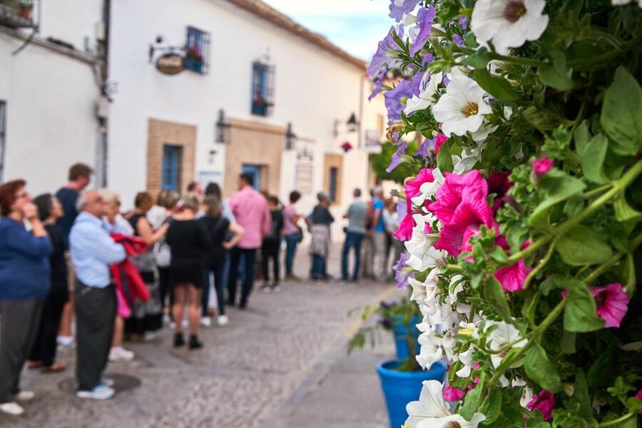 Córdoba: Guided Tour of the Patios - May is festive, but it can be slow