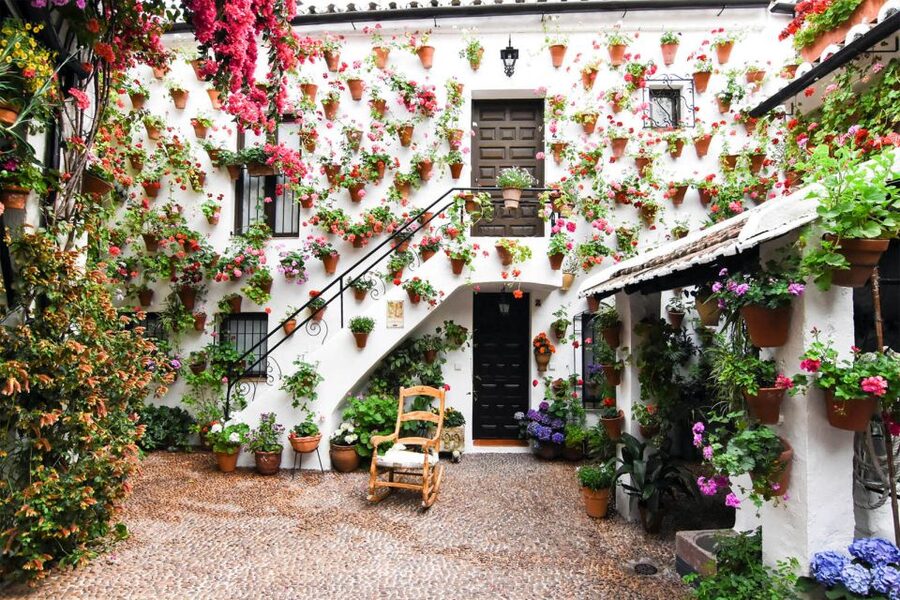 Córdoba: Guided Tour of the Patios - Who should book this patio walk?